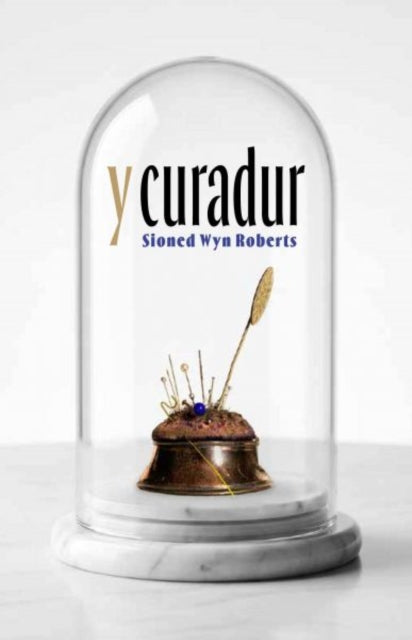 Y Curadur - Sioned Wyn Roberts