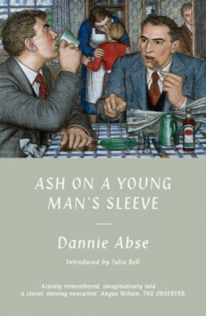 Ash on a Young Man's Sleeve - Dannie Abse