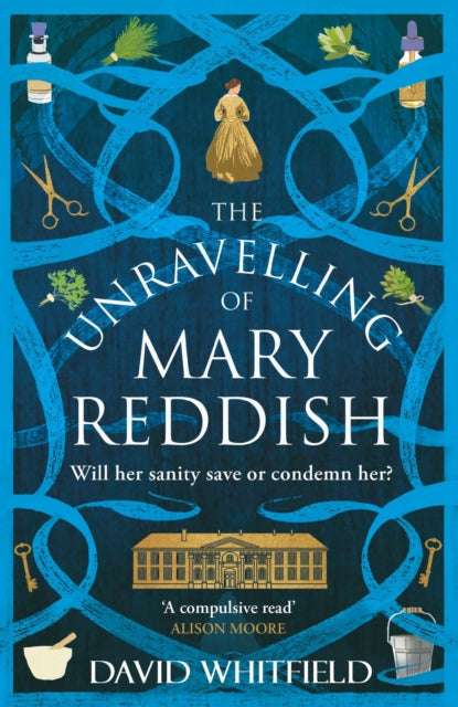 The Unravelling of Mary Reddish : a powerful historical novel about a woman unjustly committed to an asylum - David Whitfield