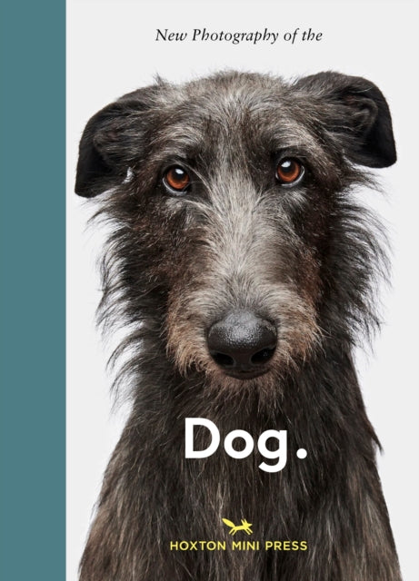New Photography of the Dog - Jilke Golbach