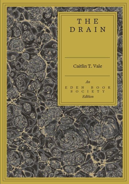 The Drain - Caitlin T. Vale