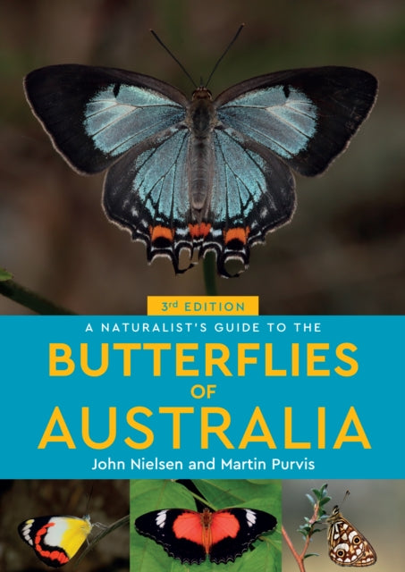 A Naturalist's Guide to the Butterflies of Australia - Martin Purvis