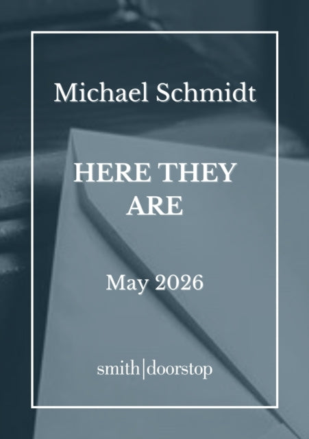 Here They Are - Michael Schmidt