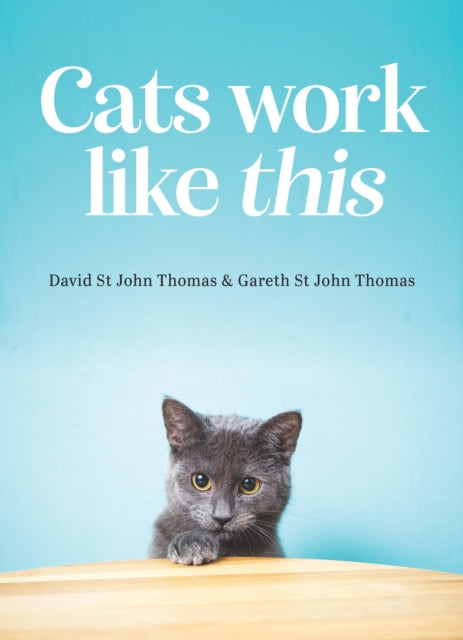 Cats Work Like This - Gareth St John Thomas