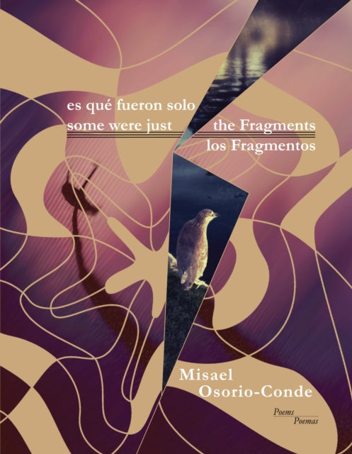 some were just the Fragments // es que fueron solo los Fragmentos - Misael Osorio-Conde