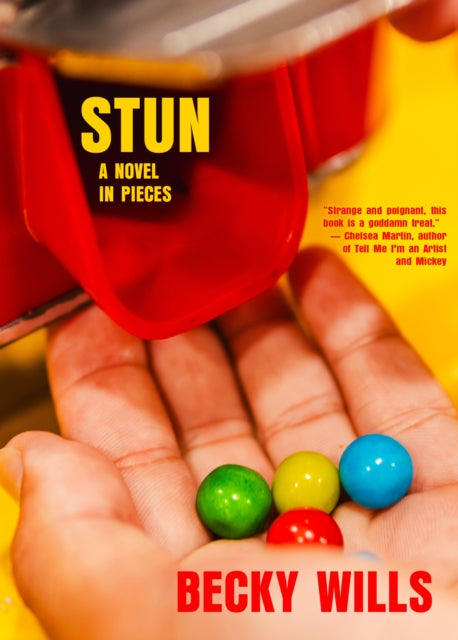 Stun : A Novel in Pieces - Becky Wills