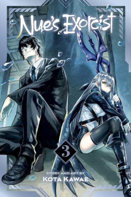 Nue's Exorcist, Vol. 3 - Kota Kawae
