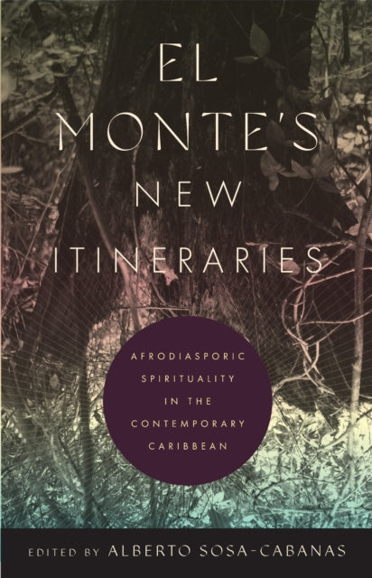 Front cover of El Monte's New Itineraries by Emily A. Maguire, paperback
