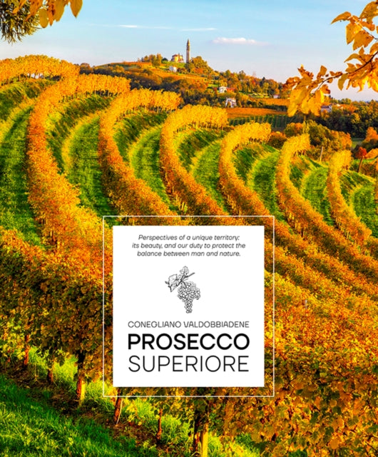 Prosecco Superiore : Conegliano Valdobbiadene - Perspectives of a Unique Territory - Elisa Giraud