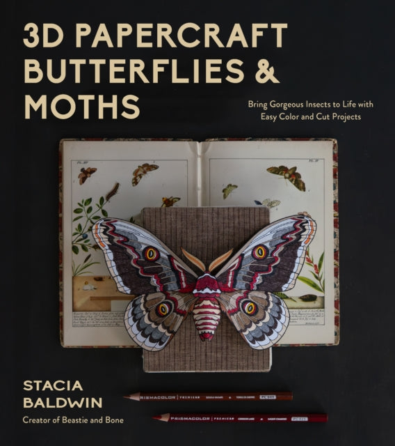 3D Papercraft Insects : Bring Gorgeous Butterflies and Moths to Life with Easy Color and Cut Projects - Stacia Baldwin