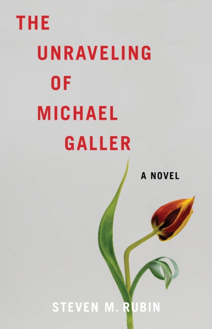 The Unraveling of Michael Galler : A Novel - Steven M. Rubin