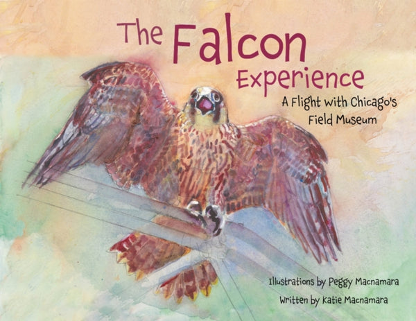 The Falcon Experience : A Flight with Chicago's Field Museum - Katie Macnamara